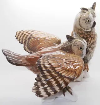 owls-008.jpg