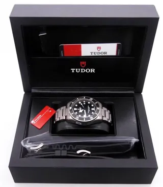 tudor-011.jpg