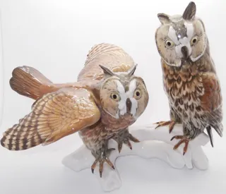 owls-006.jpg