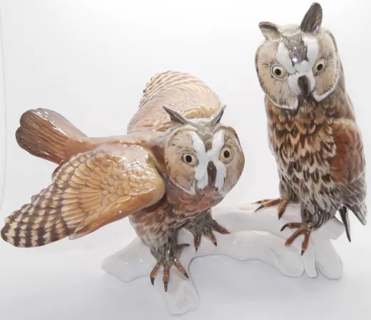 owls-006.jpg